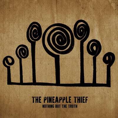 Pineapple Thief Poster